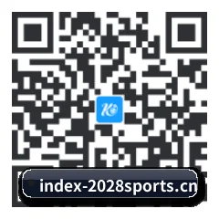 系统版 Android 二维码